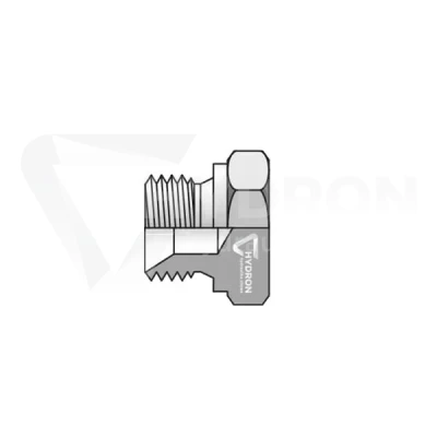 Korek BSP (AGR) 1/8" z gniazdem pod klucz 14