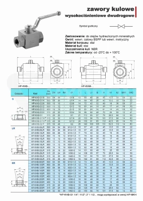 Zawór kulowy dwudrożny BKH BSP DN25 1" 315bar