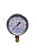 Manometr dolny radialny MG1-63 60 bar gwint 1/4"