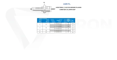 Końcówka AGR-FL DN10 1/2" FL ( płaski )