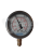 Wakuometr dolny (-1-+1,5 BAR) gwint 1/4"