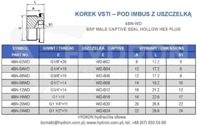 Korek gwintowany na imbus VSTI BSP 1/4" ED uszczel
