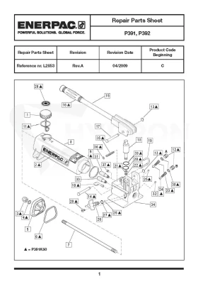 Zestaw naprawczy do pomp P392/P391 ENERPAC P391K50