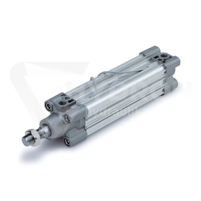 Siłownik pneumatyczny CP96SDB40-25C