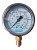 Manometr dolny MG1-100 6 bar gwint 1/2"