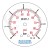 Manometr tablicowy tylny 6 bar 63 gwint 1/4"