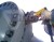 Rozpierak mechaniczny FSM-8 ENERPAC 8ton