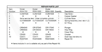 Zestaw naprawczy RSM1000K50 ENERPAC