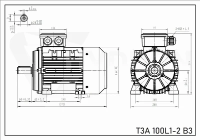 Silnik elektryczny T3A 100L1-2, B3, 3 kW, 2910 obr