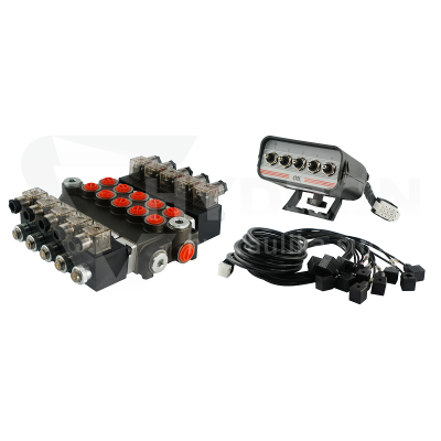 Przejdź do produktu Rozdzielacz hydrauliczny 5 sekcyjny 40L/min sterowany elektrycznie 24V z panelem sterującym z pięcioma przyciskami