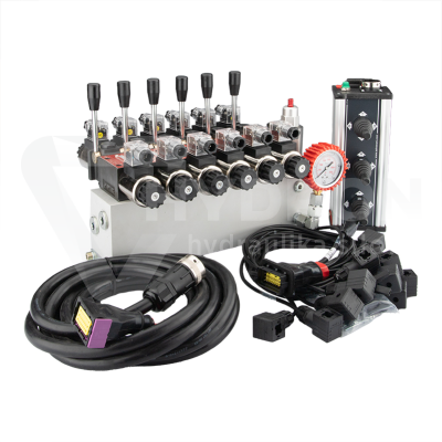 Przejdź do produktu Rozdzielacz hydrauliczny 6 sekcyjny 12V blokowy typu Cetop 3 NG6 z proporcjonalnym regulatorem przepływu w komplecie z panelem sterującym Salvarani z trzema joystickami, manometrem, wtyczkami elektrycznymi i przyłączami