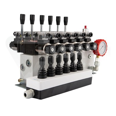 Przejdź do produktu Rozdzielacz hydrauliczny 6 sekcyjny 12V blokowy typu Cetop 3 NG6 z proporcjonalnym regulatorem przepływu w komplecie z panelem sterującym Hydrolider z sześcioma joystickami, manometrem, wtyczkami elektrycznymi i przyłączami