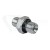 Przyłączka prosta ED 3/4 BSP / 3/4 BSP