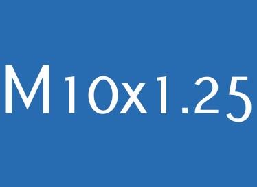 gwint M10x1.25.