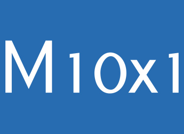 gwint M10x1