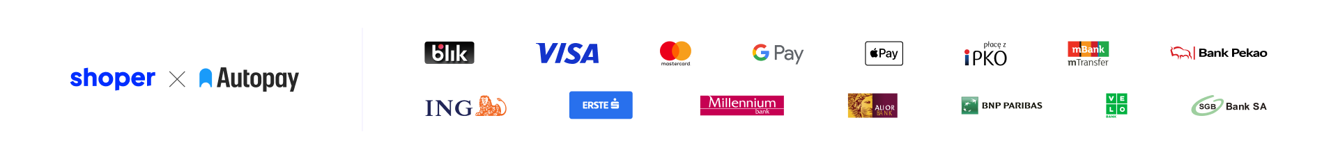 Płatności internetowe w sklepie